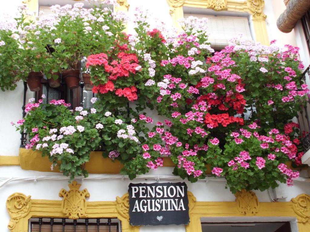 Pension Agustina Кордова Экстерьер фото